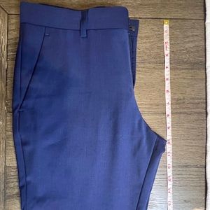 Mens Navy Slacks from Express